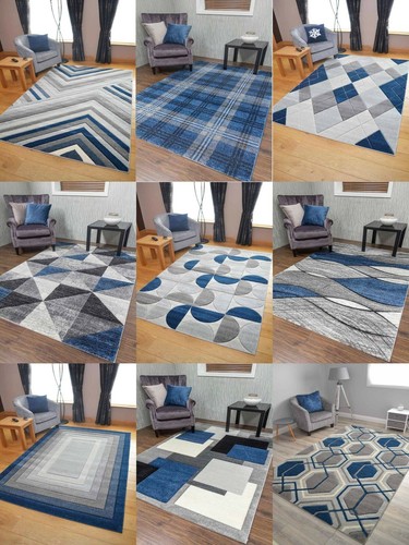 Blue rugs hall - rugs,
