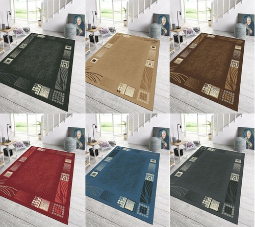 Large small living room - room, rug